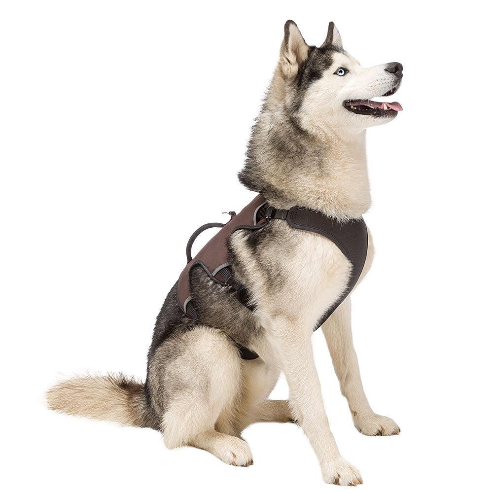 Ferplast Arnes Ergotrekking
